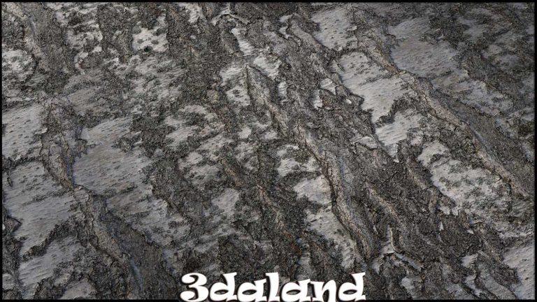 تکسچر_تنه درخت_07