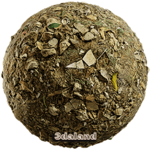 دانلود تکسچر زمین جنگلی با سنگ‌ریزه و برگ خشک | Forest Ground Texture PBR 4K
