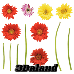 دانلود تکسچر گیاهان (ساقه و گل گیاه)