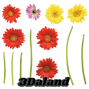 دانلود تکسچر گیاهان (ساقه و گل گیاه)