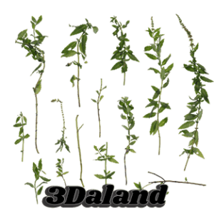 دانلود تکسچر گیاهان (شاخه و جوانه گیاهان سبز)