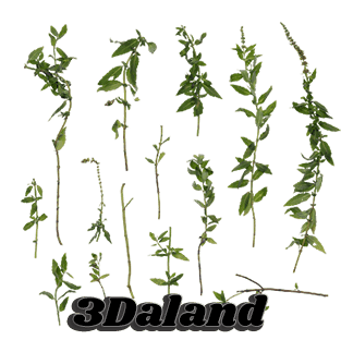 دانلود تکسچر گیاهان (شاخه و جوانه گیاهان سبز)