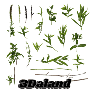 دانلود تکسچر گیاهان (برگ شاخه و جوانه گیاهان سبز02)