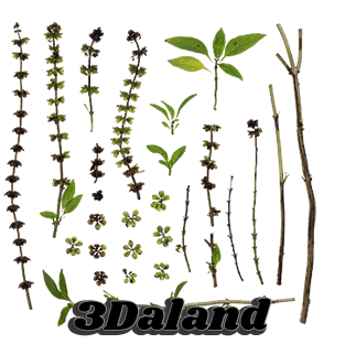 دانلود تکسچر گیاهان (شاخ و برگ سبز)