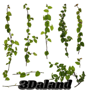 دانلود تکسچر گیاهان (شاخ و برگ سبز)