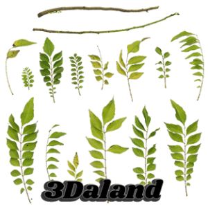 دانلود تکسچر گیاهان (شاخ و برگ سبز) 05