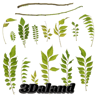 دانلود تکسچر گیاهان (شاخ و برگ سبز) 05