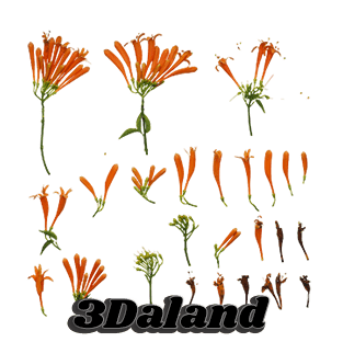 دانلود تکسچر گیاهان (پیروستژیا ونوستا)