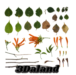 دانلود تکسچر گیاهان (شاخ و برگ سبز و ساقه)