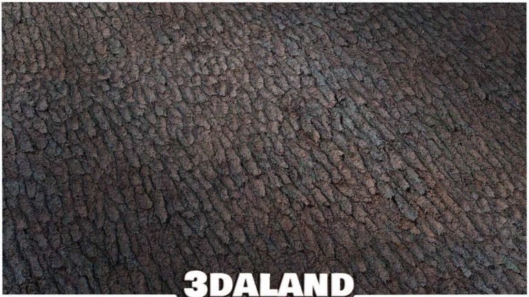 دانلود رایگان تکسچر واقع‌گرایانه تنه درخت | Bark Texture 4k
