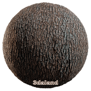 دانلود رایگان تکسچر واقعگرایانه تنه درخت | Bark Texture 4k