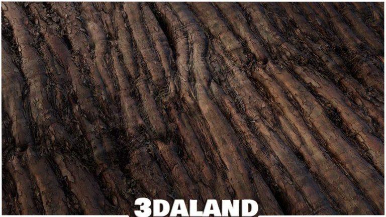 دانلود رایگان تکسچر واقع‌گرایانه تنه درخت | Bark Texture PBR