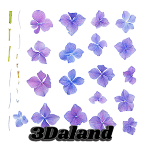 دانلود تکسچر گیاهان (گل)