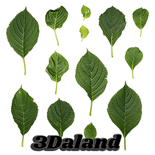 دانلود تکسچر گیاهان (برگ)